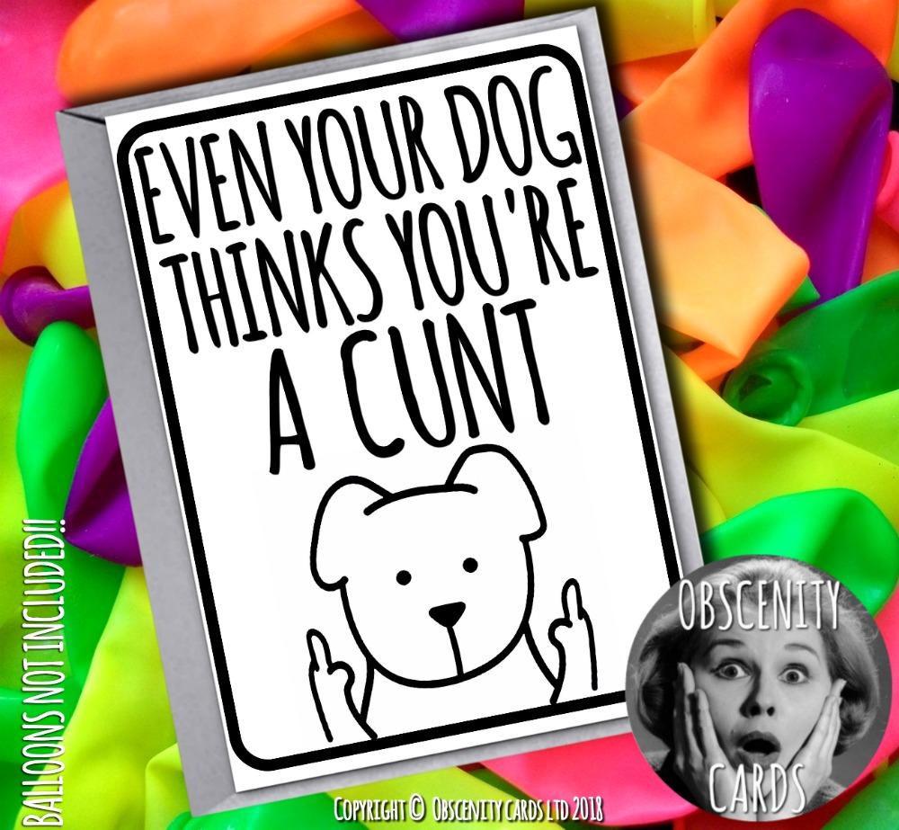 Obscene funny offensive birthday cards AND CARDS FOR ALL OCCASIONS by Obscenity cards. Obscene Funny Cards, Pens, Party Hats, Key rings, Magnets, Lighters & Loads More!-0