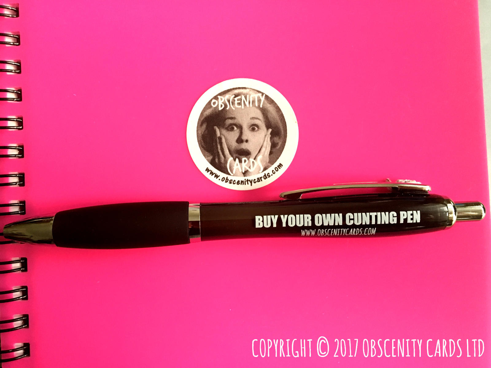 MIXED PACK OF FUNNY OBSCENITY PENS (Black) X 9 SWEARY PENS. Obscene funny offensive birthday cards by Obscenity cards. Obscene Funny Cards, Pens, Party Hats, Key rings, Magnets, Lighters & Loads More!-1