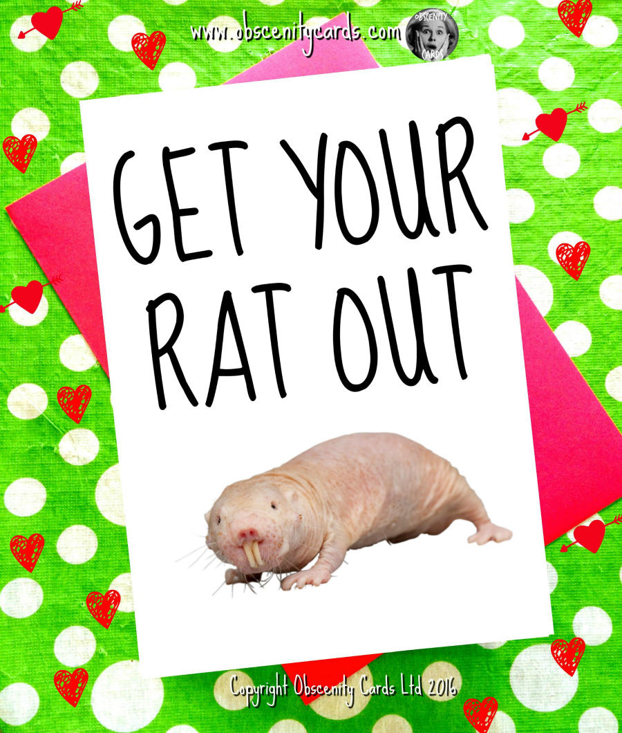 Funny Valentines Day Card get your rat out Funny Valentines Day Card get your rat out-1