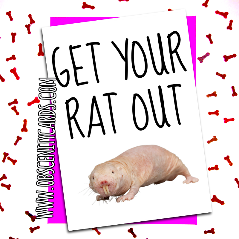 Funny Valentines Day Card get your rat out Funny Valentines Day Card get your rat out. Obscene funny offensive birthday cards by Obscenity cards. Obscene Funny Cards, Pens, Party Hats, Key rings, Magnets, Lighters & Loads More!-0