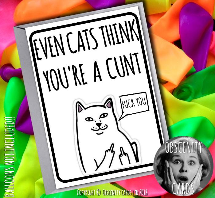 Obscene funny offensive birthday cards by Obscenity cards. Obscene Funny Cards, Pens, Party Hats, Key rings, Magnets, Lighters & Loads More!-0