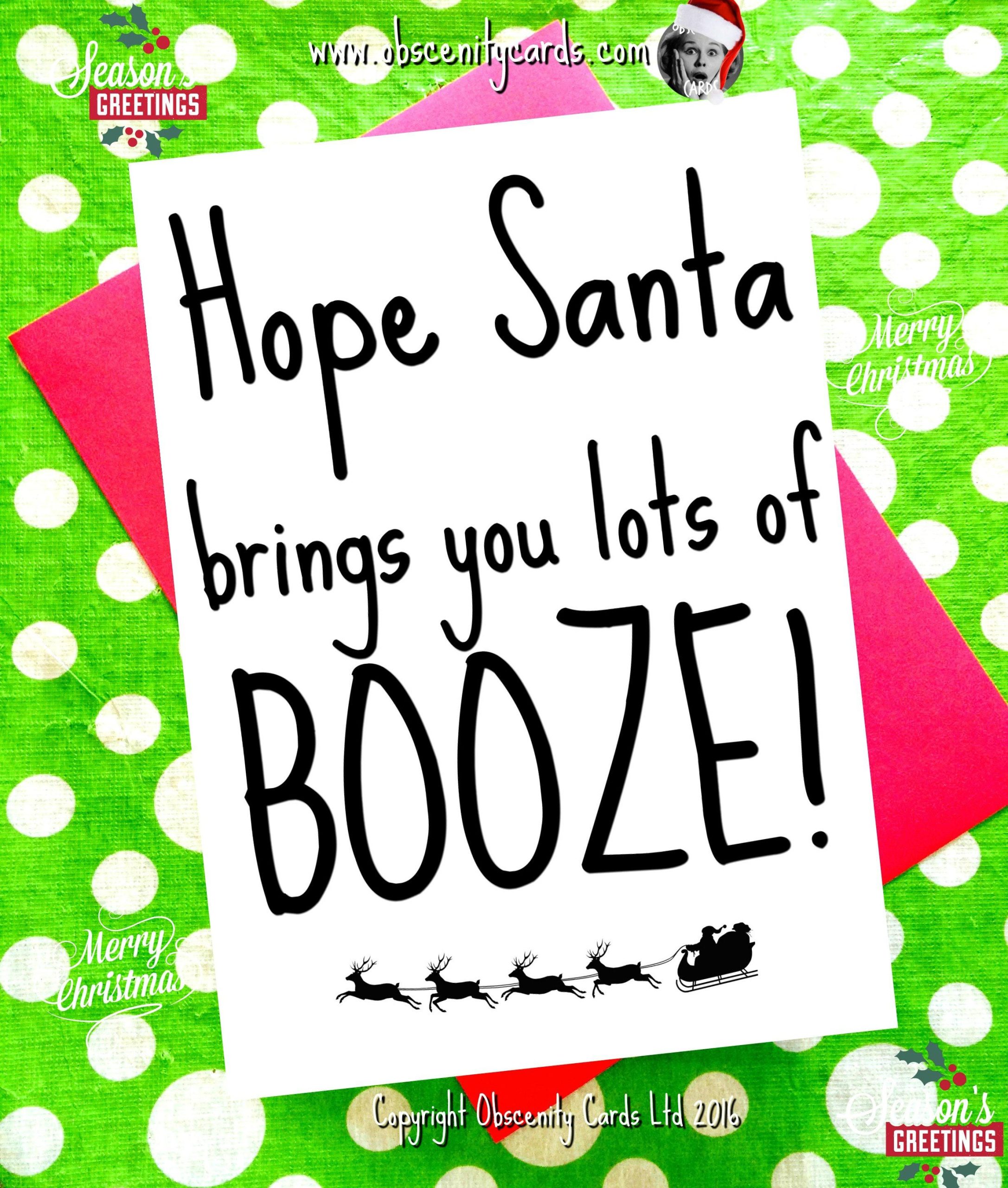 Funny Christmas Card - HOPE SANTA BRINGS YOU LOTS OF BOOZE Funny Christmas Card - HOPE SANTA BRINGS YOU LOTS OF BOOZE-0